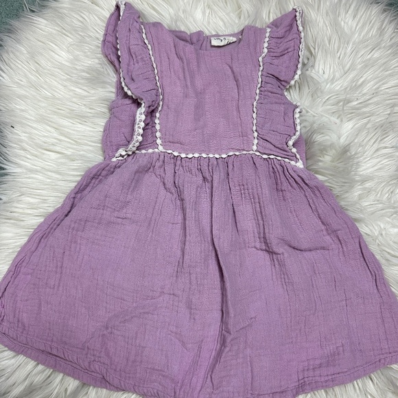 City Mouse Other - purple muslin City Mouse dress size 3Y // 3022